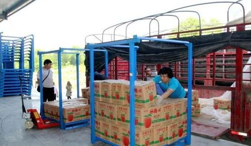 永州嘉信冷鏈倉儲物流中心正式開業(yè)，助推區(qū)域物流體系升級